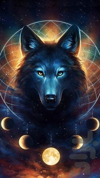 تصویر زمینه گرگ ~ wolf wallpaper - عکس برنامه موبایلی اندروید