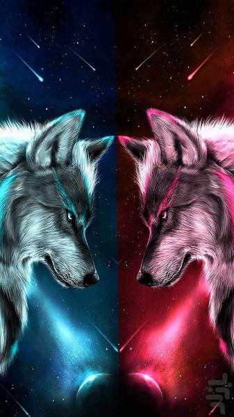 تصویر زمینه گرگ ~ wolf wallpaper - عکس برنامه موبایلی اندروید