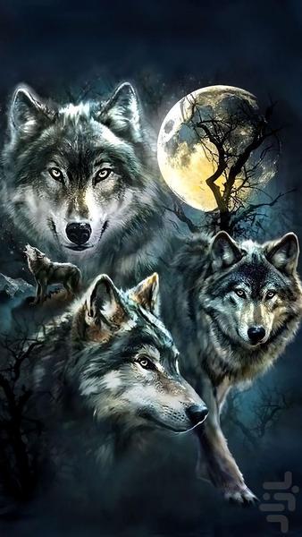 تصویر زمینه گرگ ~ wolf wallpaper - عکس برنامه موبایلی اندروید