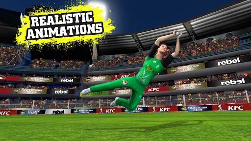 Big Bash Cricket - Gameplay image of android game
