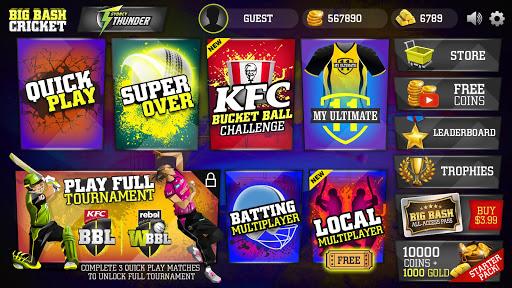 Big Bash Cricket - Gameplay image of android game
