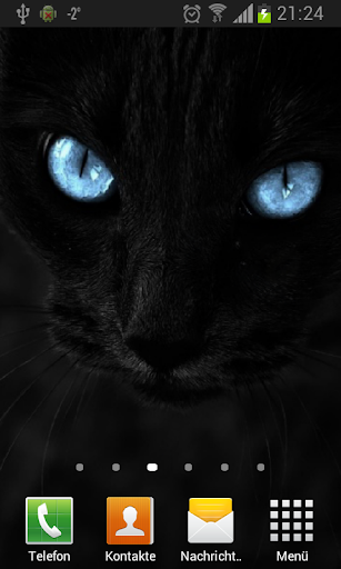 Black cats Live Wallpaper - Image screenshot of android app