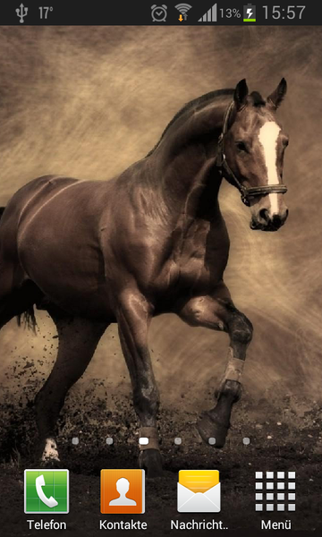 Horses Live Wallpaper - عکس برنامه موبایلی اندروید