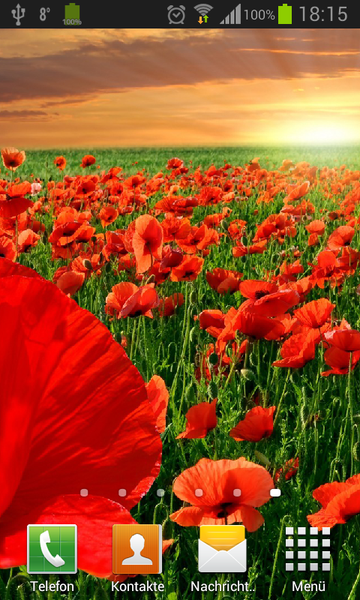 Poppies live wallpaper - Image screenshot of android app