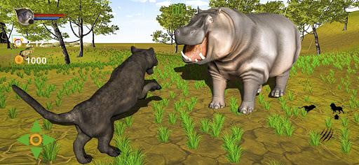Cougar Lion Simulator ۲۰۲۱ – Predator Lion Games - عکس برنامه موبایلی اندروید