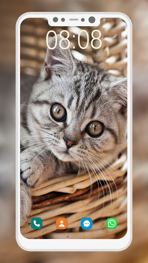 Cat Wallpaper HD - عکس برنامه موبایلی اندروید