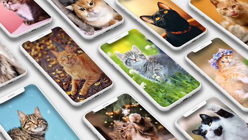 Cat Wallpaper HD - عکس برنامه موبایلی اندروید