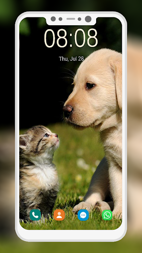 Cats And Dogs Wallpaper - Image screenshot of android app