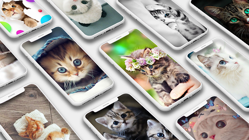 Cute Cat Wallpaper - عکس برنامه موبایلی اندروید