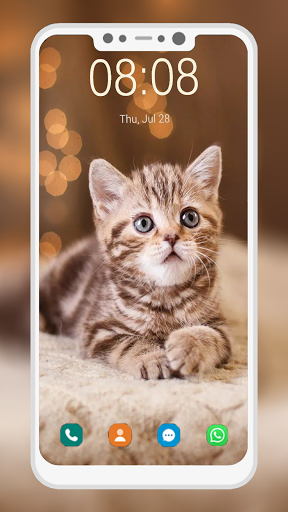 Cute Cat Wallpaper - Image screenshot of android app