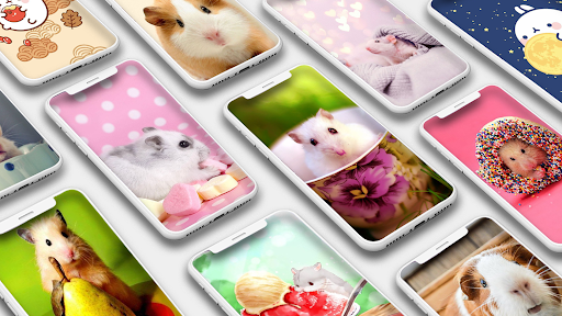 Cute Hamster Wallpapers - Image screenshot of android app