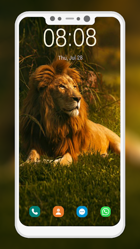Lion Wallpapers HD - Image screenshot of android app