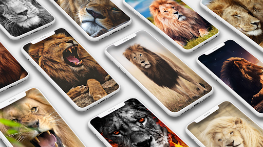 Lion Wallpapers HD - Image screenshot of android app