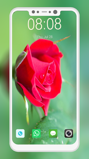 Rose Wallpapers - Image screenshot of android app