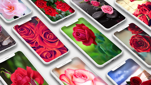 Rose Wallpapers - Image screenshot of android app