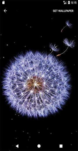 S۹ Ringtones & Live Wallpapers - عکس برنامه موبایلی اندروید