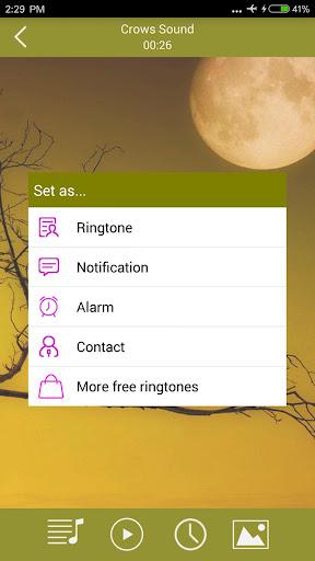 Birds Sounds & Ringtones - عکس برنامه موبایلی اندروید