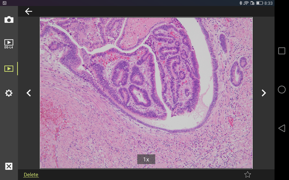 DS-L4 Viewer - Image screenshot of android app