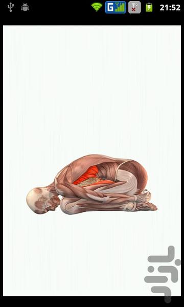 یوگا، ساده، ارزان و کارامد(با ویجت) - عکس برنامه موبایلی اندروید