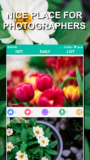 Share Photos - Daily Wallpaper - Image screenshot of android app