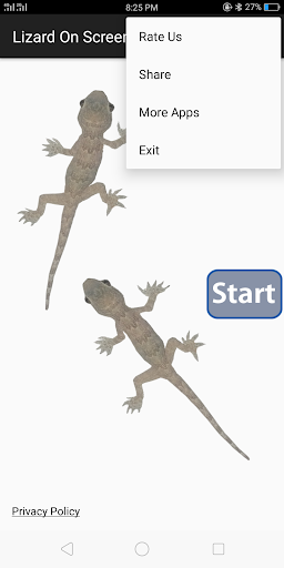 Lizard On Screen Prank - عکس برنامه موبایلی اندروید
