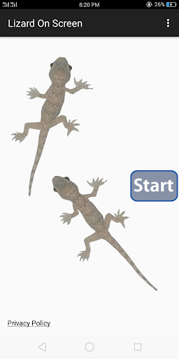 Lizard On Screen Prank - عکس برنامه موبایلی اندروید