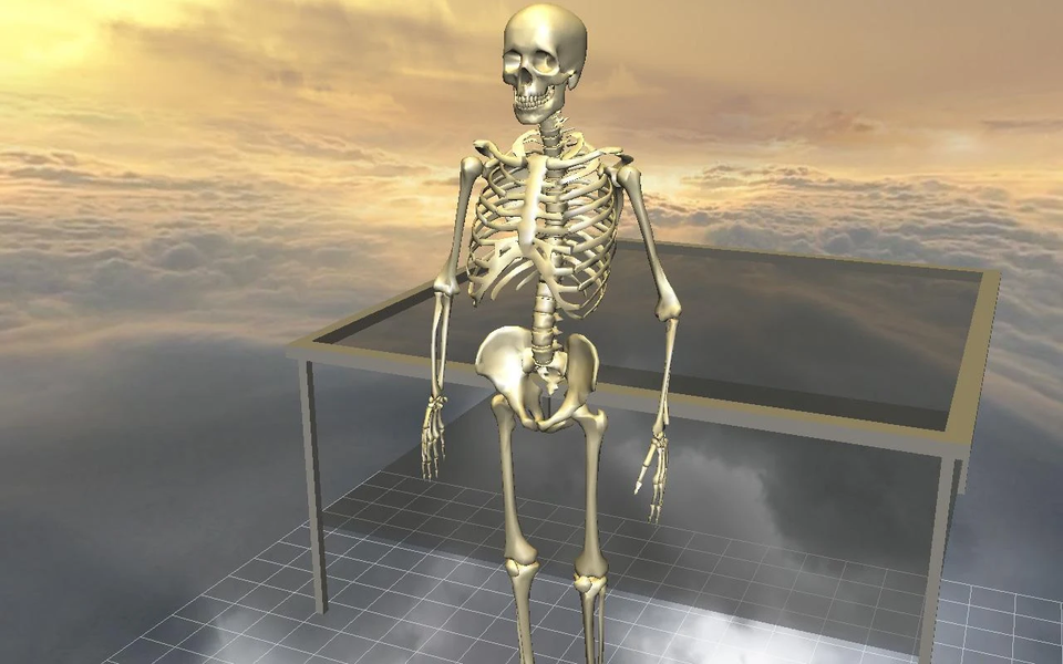 Body Disassembly 3D - Image screenshot of android app