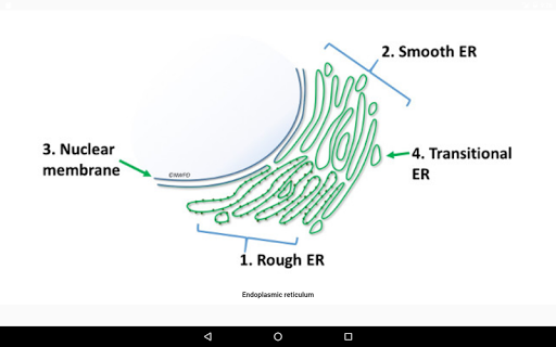 Cell Biology-۱۰۱ - عکس برنامه موبایلی اندروید