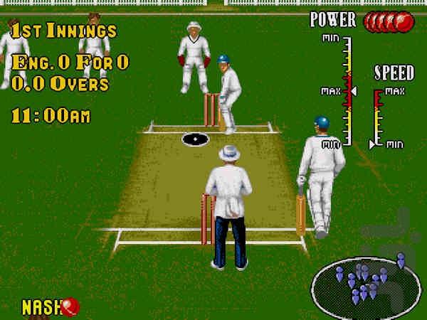 Shane Warne Cricket - Gameplay image of android game