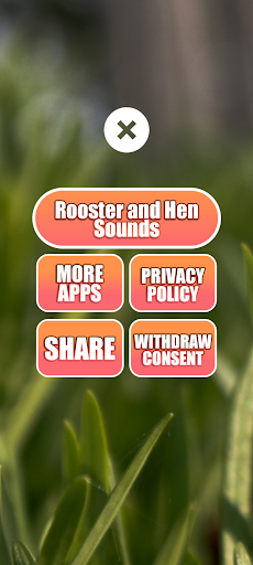 Rooster and hen sounds - Image screenshot of android app