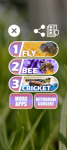 Sounds of insects - Image screenshot of android app