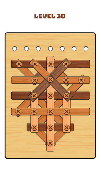 Nuts & Bolts Game: Wood Puzzle - Gameplay image of android game