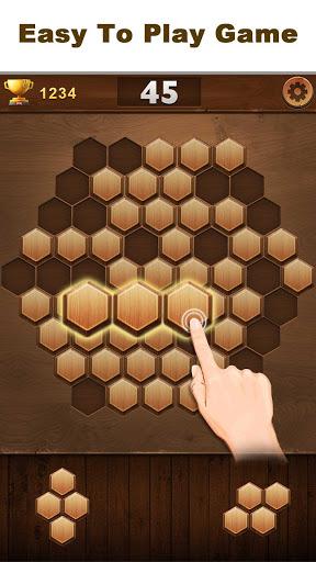Wood Block Hexagon - Gameplay image of android game