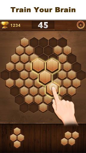 Wood Block Hexagon - Gameplay image of android game