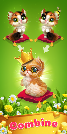 Catopedia - Merge My Cat - Gameplay image of android game