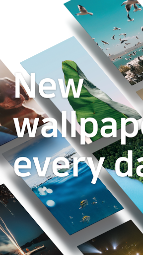 Backgrounds HD (Wallpapers) - Image screenshot of android app