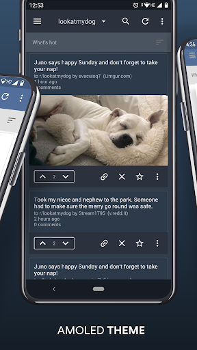 BaconReader for Reddit - Image screenshot of android app