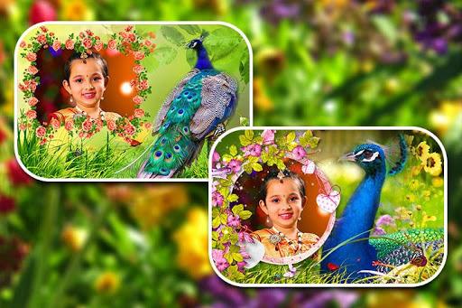 Peacock Photo Frames - عکس برنامه موبایلی اندروید