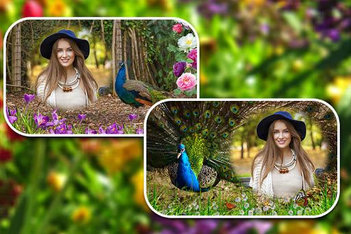 Peacock Photo Frames - Image screenshot of android app