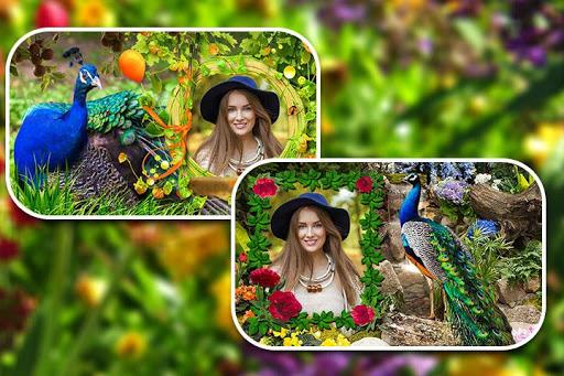 Peacock Photo Frames - عکس برنامه موبایلی اندروید