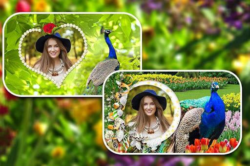 Peacock Photo Frames - عکس برنامه موبایلی اندروید