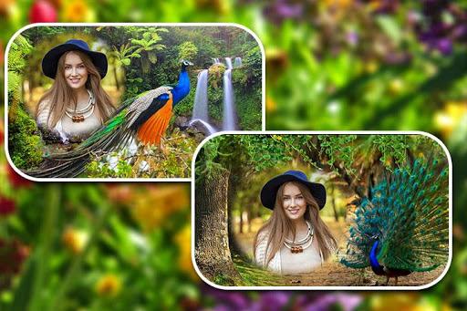 Peacock Photo Frames - عکس برنامه موبایلی اندروید