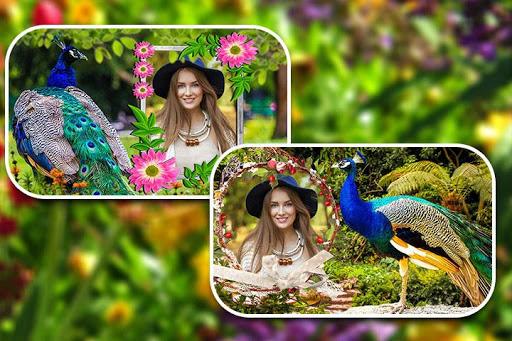 Peacock Photo Frames - عکس برنامه موبایلی اندروید