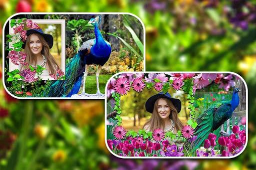 Peacock Photo Frames - عکس برنامه موبایلی اندروید