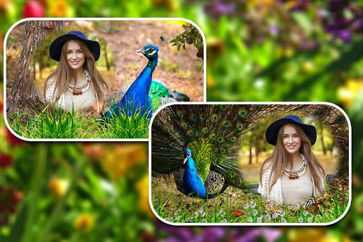 Peacock Photo Frames - عکس برنامه موبایلی اندروید