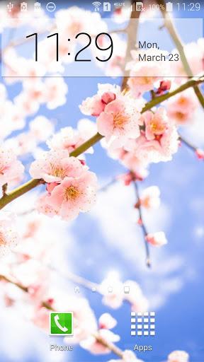 Sakura Live Wallpaper - عکس برنامه موبایلی اندروید