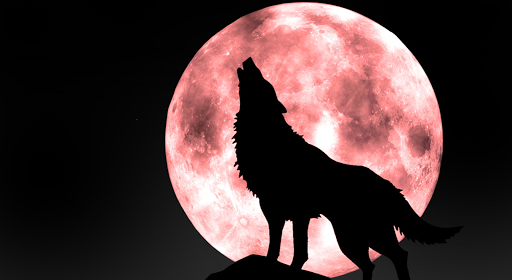 Wolf Live Wallpaper - Image screenshot of android app