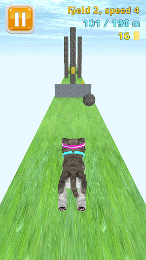 Cat Run - Gameplay image of android game