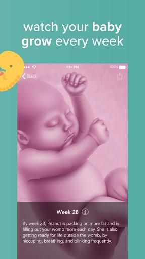 Ovia Pregnancy Tracker - پی‌گیری بارداری و تولد نوزاد اُویا - عکس برنامه موبایلی اندروید