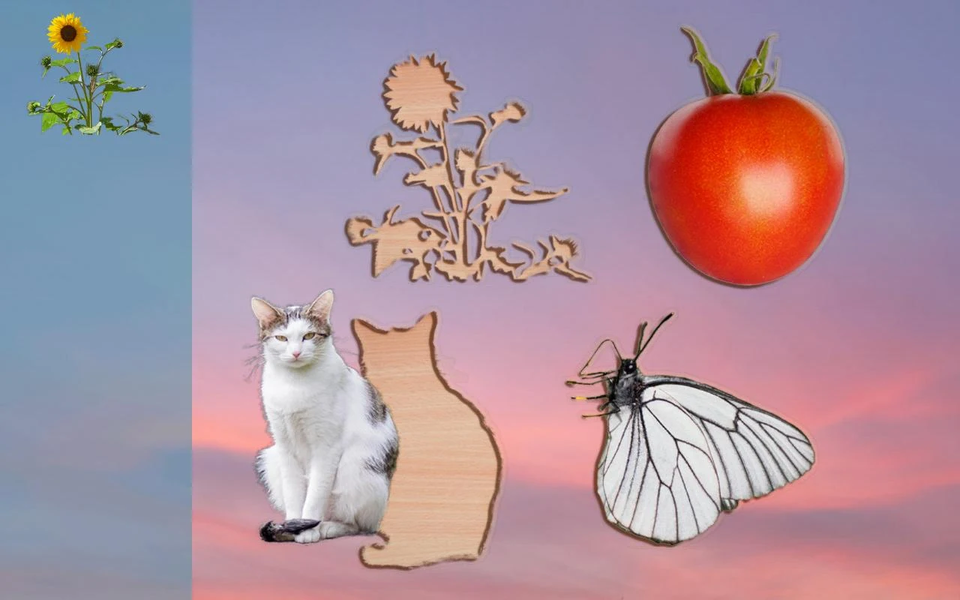 Puzzle Game for Toddlers - Gameplay image of android game